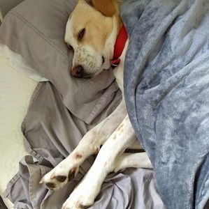 Meet your Posher, Deanna